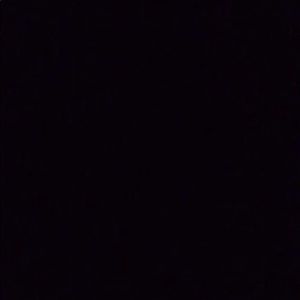 Meet your Posher, Ace